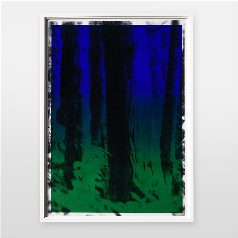 Landscapes III