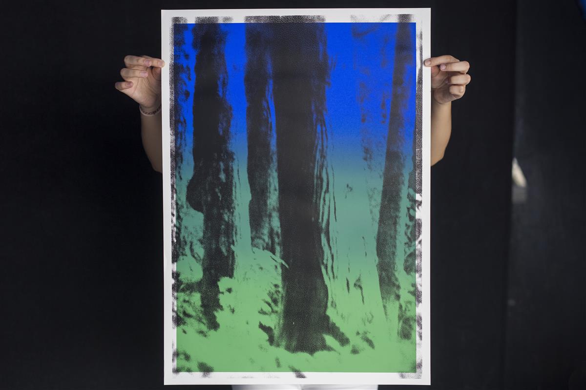 Landscapes III